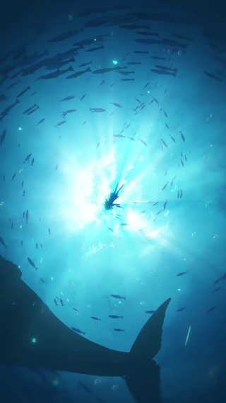 坠入深海窥视星辰