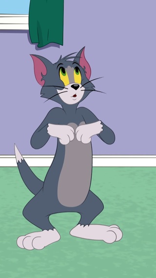 猫和老鼠