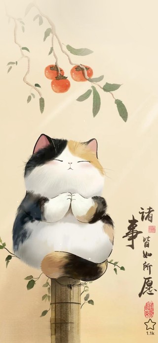 诸事皆如愿 猫咪