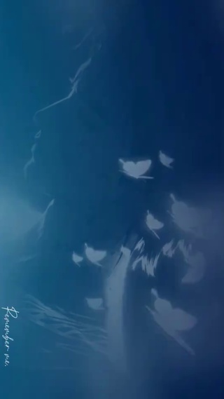 沈青竹