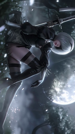 尼尔2B