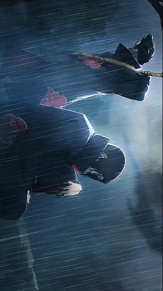 鼬