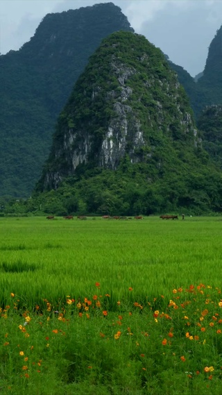春天山脚下