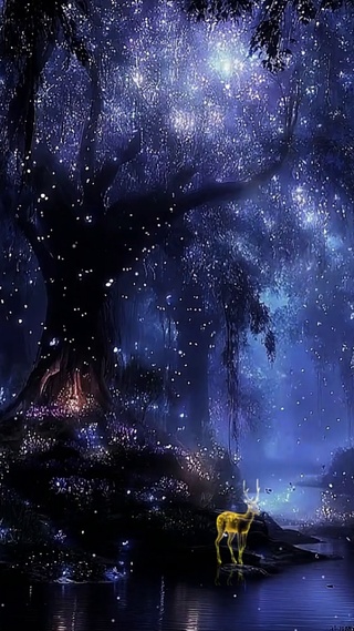 梦幻森林