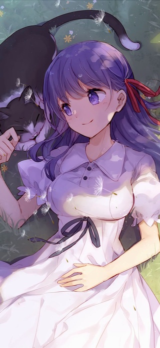 樱和猫