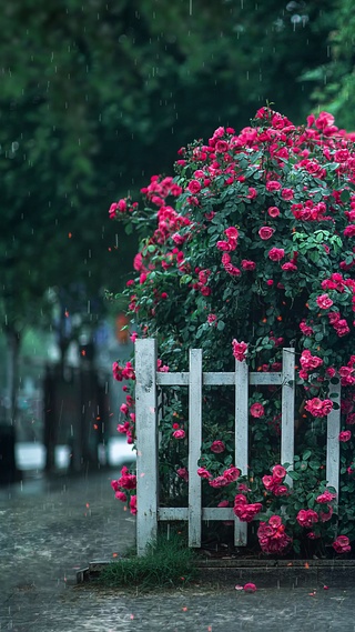 下雨
