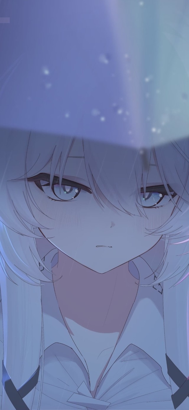 印花姬RainFall