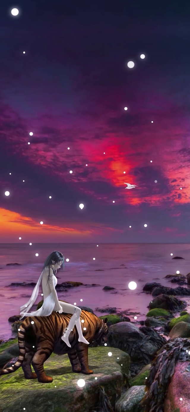 4K梦幻大海