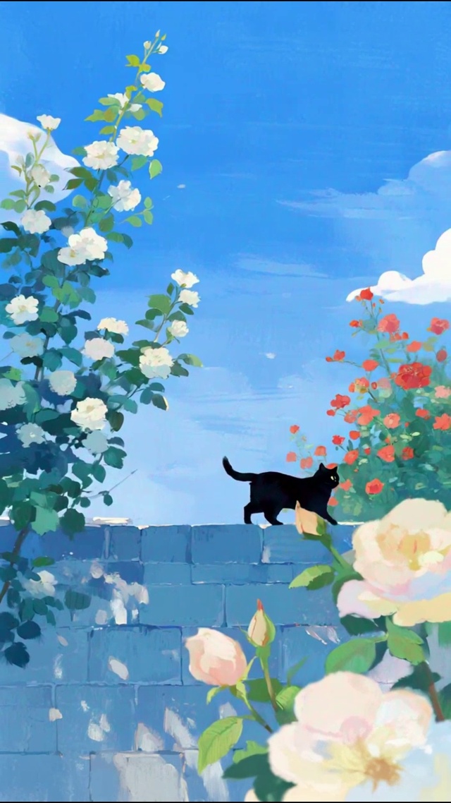 猫猫