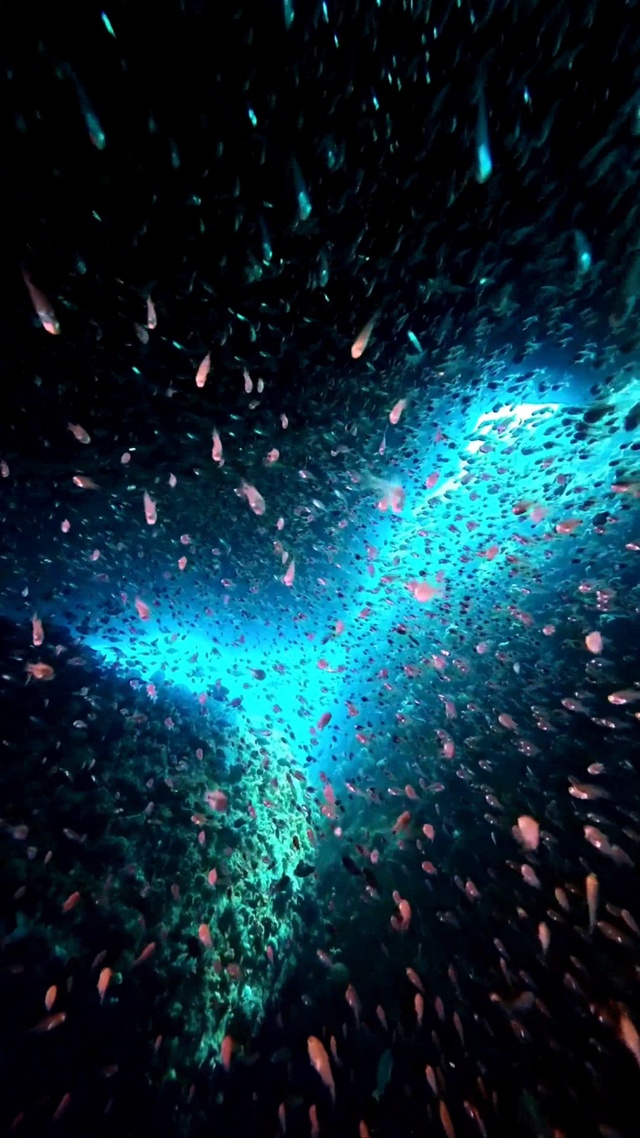 海底世界