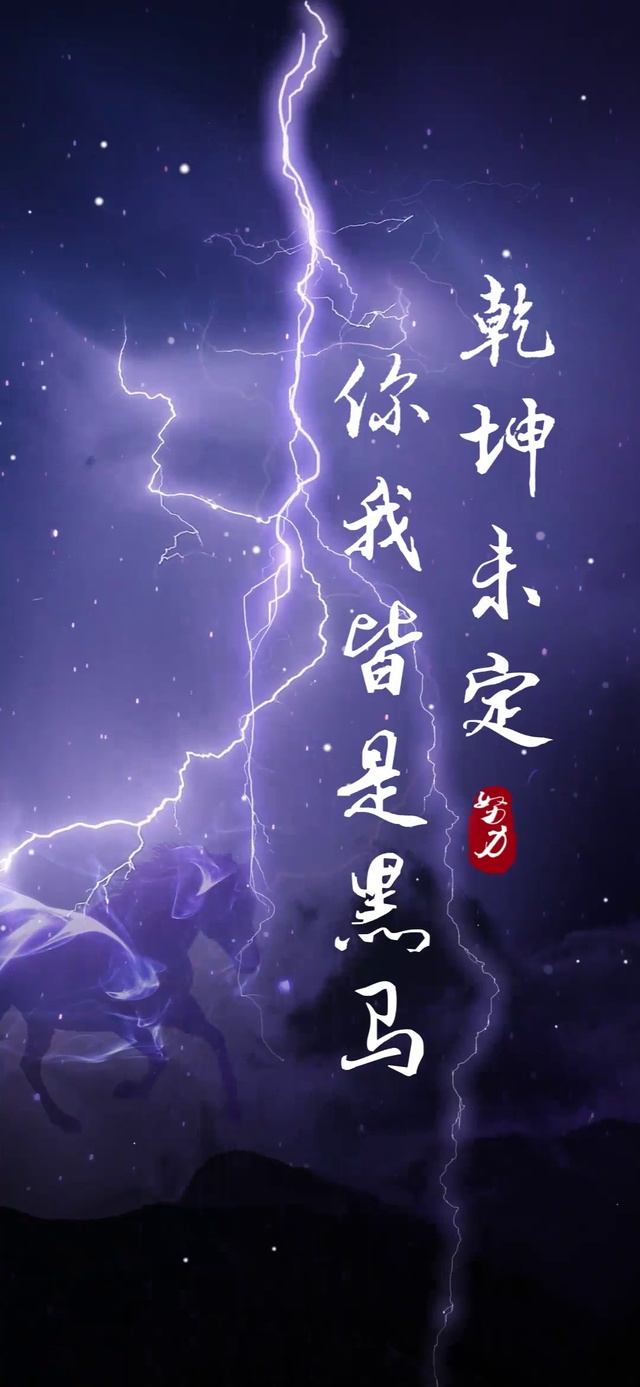 你我皆是黑马