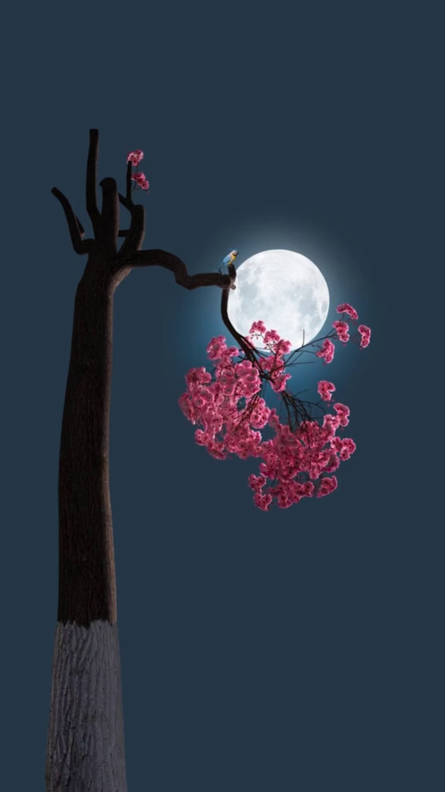 治愈壁纸