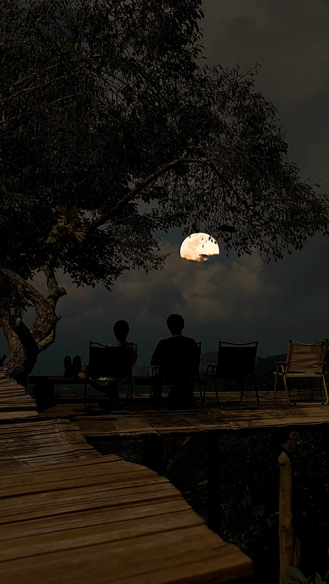 开始怀念夏夜了