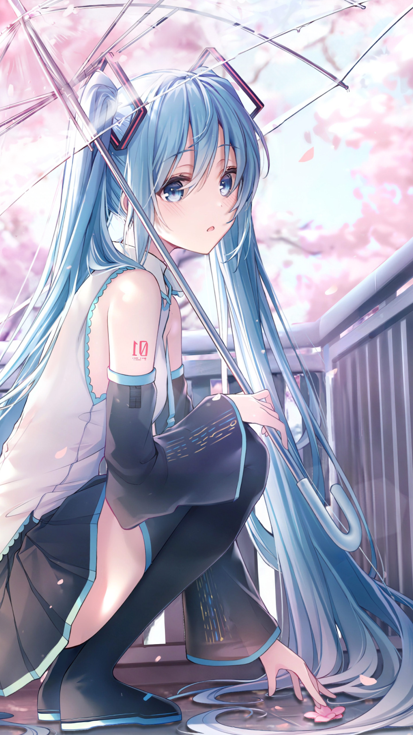 【昼夜变化】初音未来 樱之雨